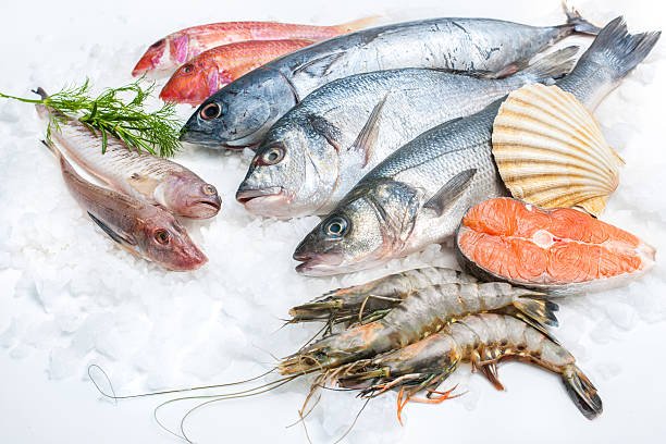 Frozen Fish and Seafood