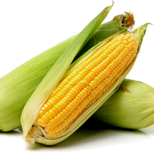 Maize