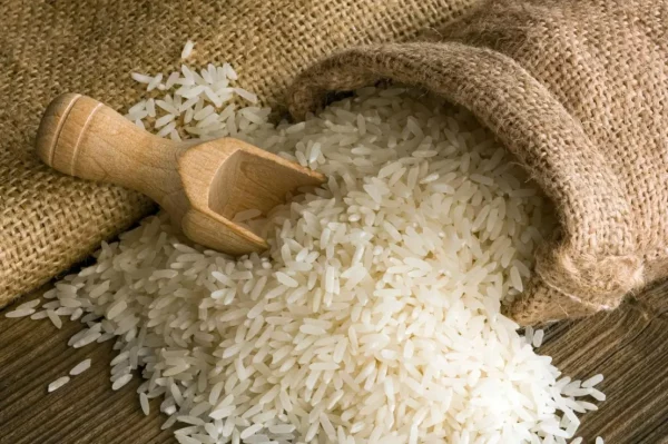 Rice
